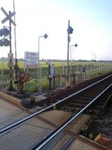 26117-3.jpg