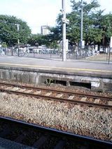 26126-1.jpg