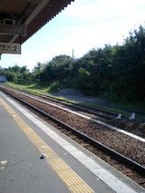 26133-4.jpg