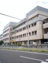 26142-3.jpg