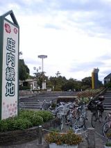 26168-3.jpg