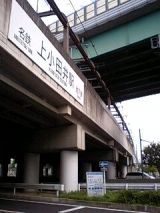 26171-3.jpg