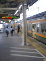 26177.jpg