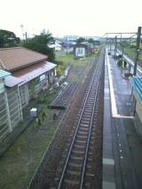 26265-1.jpg