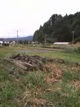 26275-3.jpg