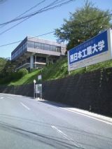 26332-3.jpg