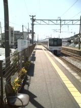 26332.jpg