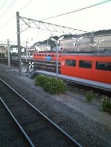 26359-1.jpg