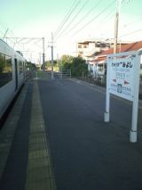 26379.jpg