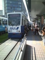 26446.jpg