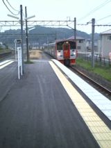 26529.jpg