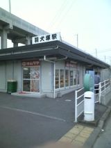 26536-3.jpg