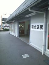 26536-4.jpg