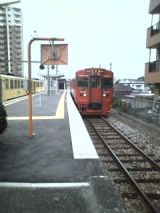 26542.jpg