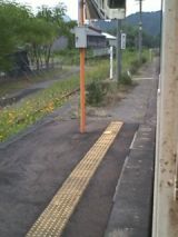 26555.jpg
