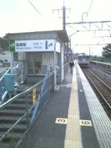 26739.jpg