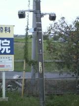 26804-3.jpg