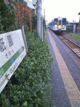 26805.jpg