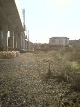 26873-2.jpg