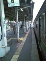 27033.jpg