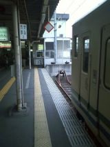 27056-2.jpg