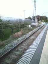27071-3.jpg
