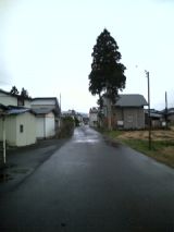 27118-3.jpg
