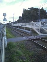 27138-1.jpg