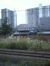 27241-1.jpg