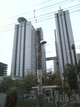 27246-3.jpg
