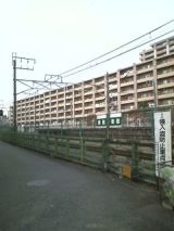 27249-3.jpg