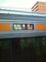 27381-1.jpg