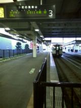 27491.jpg