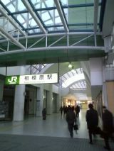 27568-2.jpg
