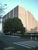 27569-3.jpg