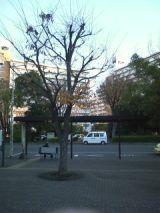 27572-3.jpg