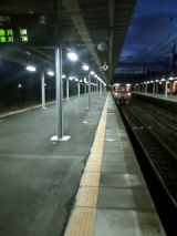 27598.jpg