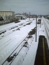 27798-1.jpg