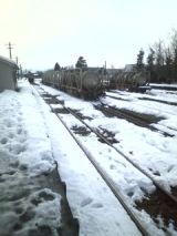 27798-3.jpg