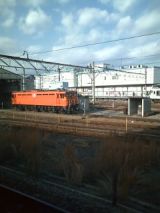 28019-3.jpg