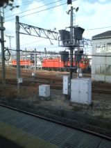 28019-4.jpg