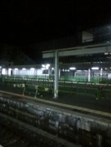 28033.jpg