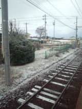 33019-1.jpg