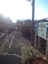 33042.jpg