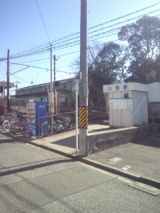 33067-3.jpg