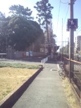 33068.jpg