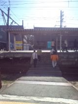 33069-2.jpg