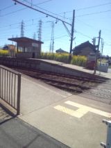 33073-1.jpg