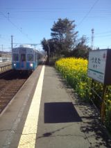 33073-5.jpg