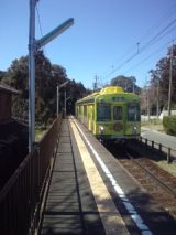 33077-5.jpg